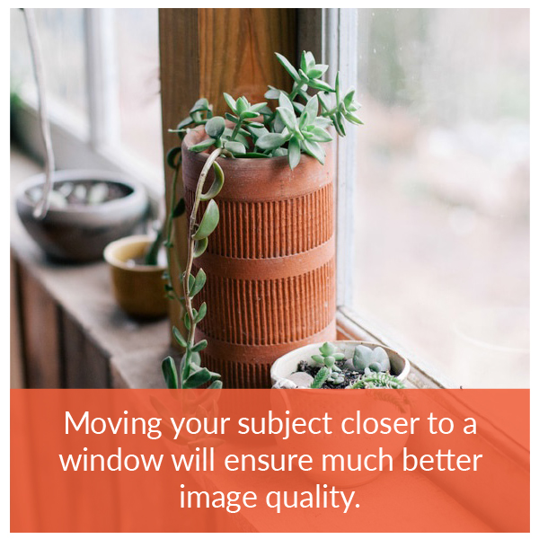 Plants near a window shoot well in natural light